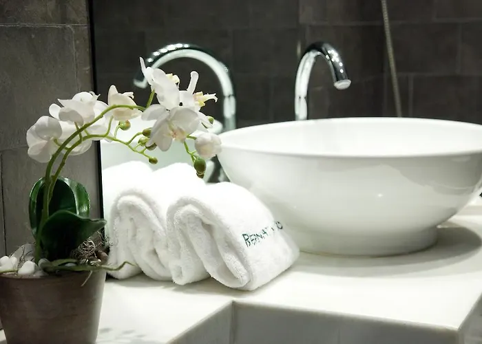 Hotel Bernat De So Llivia