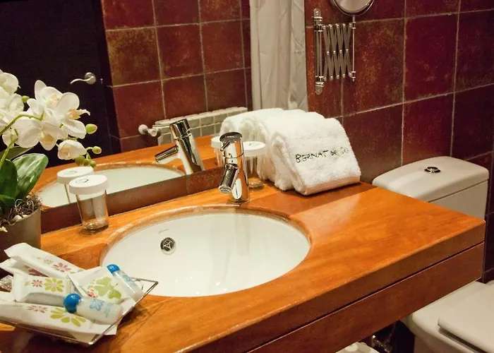 Bernat De So 3* Llivia