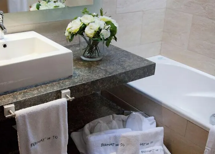 Bernat De So 3* Llivia