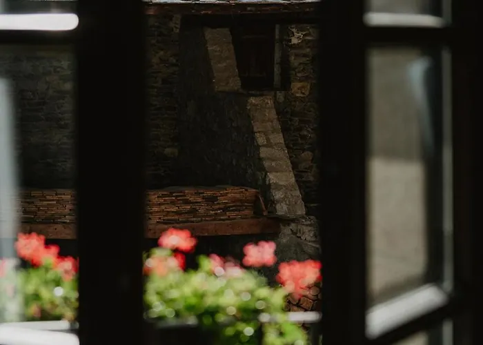 Hotel Bernat De So Llivia